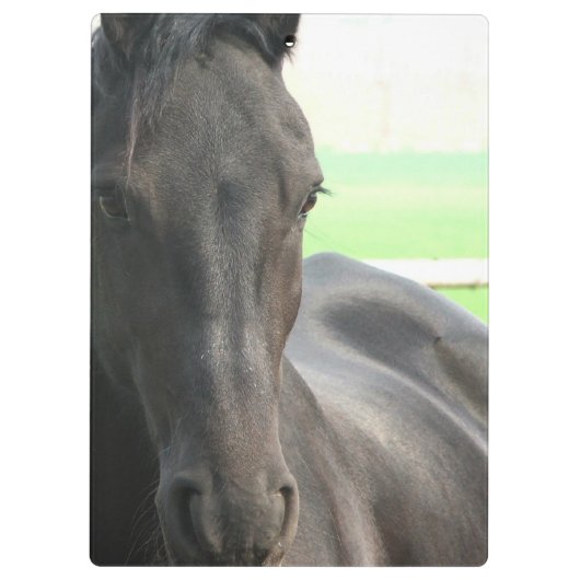 Friesianの馬 クリップボード (裏面)
