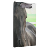 Friesianの馬 クリップボード (右)