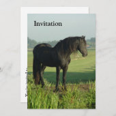 Friesianの馬 招待状 (正面/裏面)