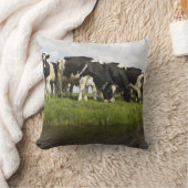 Friesian牛のグループ クッション (ブランケット)