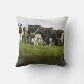 Friesian牛のグループ クッション (裏面)