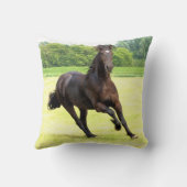 friesian-12.jpg クッション (裏面)