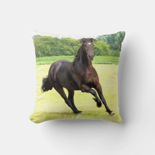 friesian-12.jpg クッション (正面)