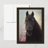 Friesian DIAMOND – ポストカード (正面/裏面)