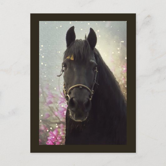 Friesian DIAMOND – ポストカード (正面)