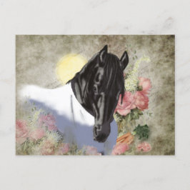 Friesian DIAMOND – ポストカード