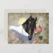 Friesian DIAMOND – ポストカード (正面/裏面)