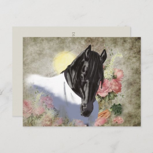 Friesian DIAMOND – ポストカード (正面/裏面)