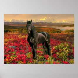 Friesian DIAMOND I – ポスター