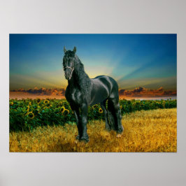 Friesian DIAMOND II – ポスター