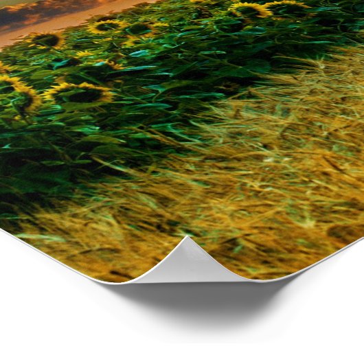 Friesian DIAMOND II – ポスター (角)