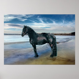 Friesian DIAMOND III – ポスター