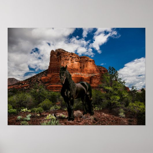 Friesian DIAMOND VI – ポスター (正面)