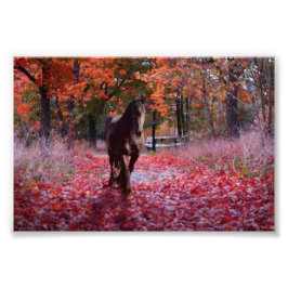 Friesian DIAMOND VIII – フォトプリント フォトプリント