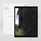Friesian Viewポストカード ポストカード (正面/裏面)