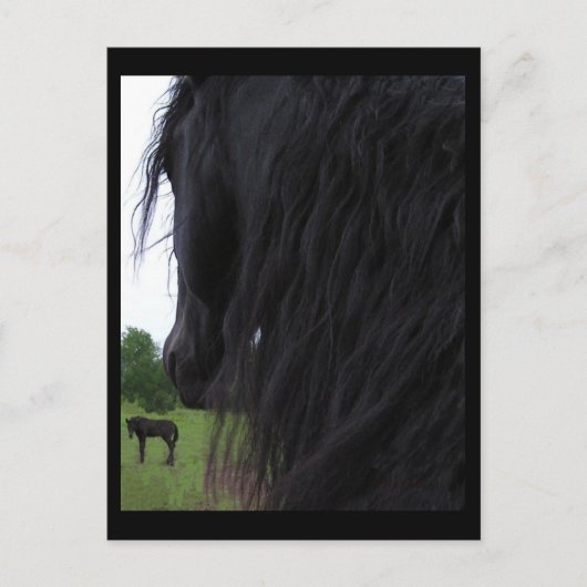 Friesian Viewポストカード ポストカード (正面)