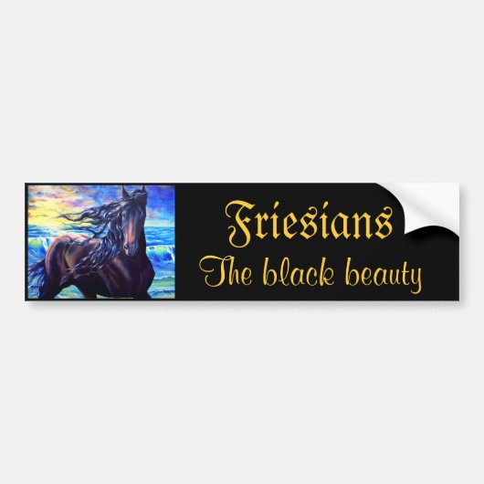 Friesians、黒い美しい バンパーステッカー (正面)