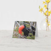 Frigatebird Greeting Card カード (黄色い花)