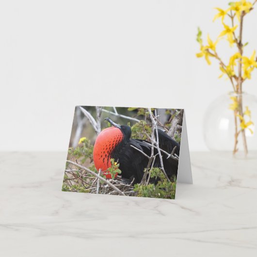 Frigatebird Greeting Card カード (黄色い花)