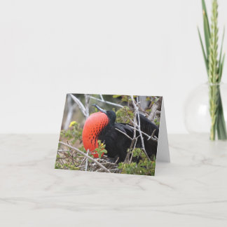 Frigatebird Greeting Card カード
