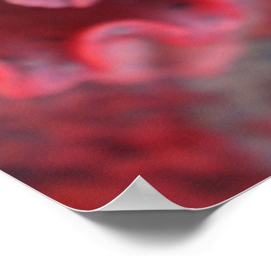 Frild Echeveraのポスター ポスター (角)