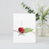 Frische rote Kirschen Gourmet Zauber ポストカード (スタンド正面)