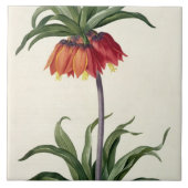 Fritillaria Imperialisからの、"Les Lilacees」、1802- タイル (正面)