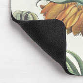 Fritillary: duplicコロナのImperialisのflorumのclasse マウスパッド (コーナー)