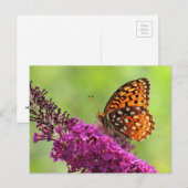 Fritillary World – 蝶 ポストカード (正面/裏面)