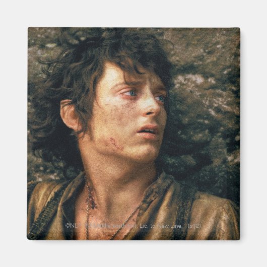 FRODO™絶望 マグネット (正面)