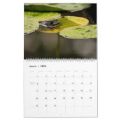 Frogカレンダー2025 カレンダー (3月 2026)