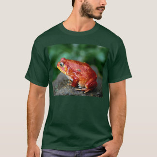 frog1_dark/bgrnd tシャツ