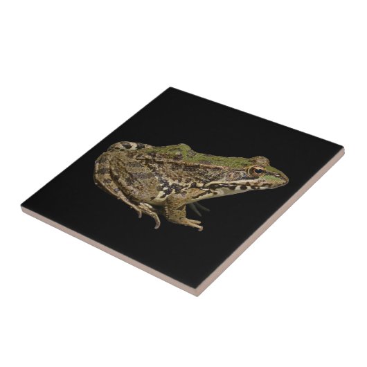 Frog タイル (側面)