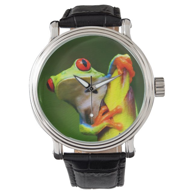 Frog 2 Watch & Numeralオプション 腕時計 (正面)