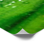 Frog 4ポスター ポスター (角)