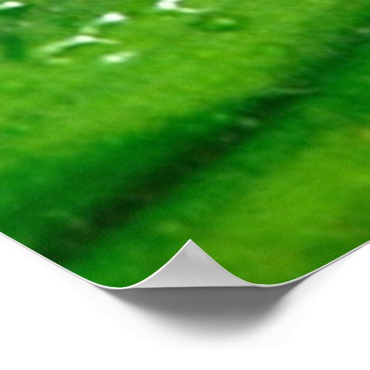 Frog 4ポスター ポスター (角)