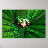 Frog 4ポスター ポスター (正面)