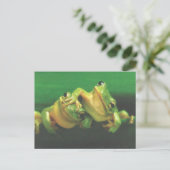 Frog Brothers Postcard ポストカード (スタンド正面)