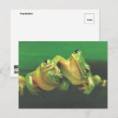 Frog Brothers Postcard ポストカード (正面/裏面)