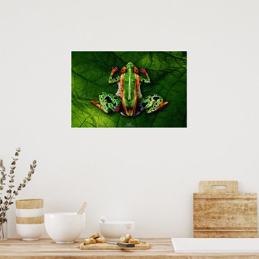 Frog by Johannes Stetter ポスター (キッチン)