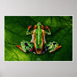 Frog by Johannes Stetter ポスター