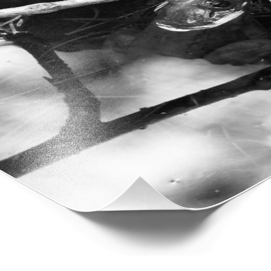 Frog Photo BW フォトプリント (角)