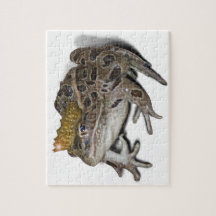 Frog Prince （テキストの追加）