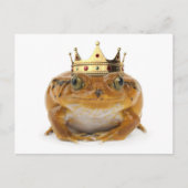 Frog Prince – 前面 ポストカード (正面)