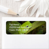 Frog Reflections差出人住所ラベル ラベル (インサイチュ)