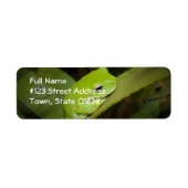 Frog Reflections差出人住所ラベル ラベル (正面)