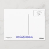 FROGGIE PONDポストカード ポストカード (裏面)