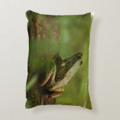 Froggy アクセントクッション (裏面(縦))