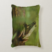 Froggy アクセントクッション (正面(垂直))