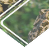 Froggy テーブルクロス (アングル)